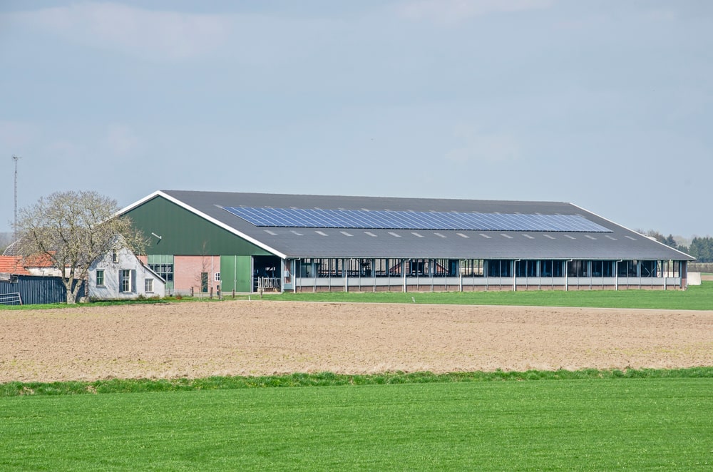 Quel est l’intérêt d’installer un panneau solaire sur le toit d’un hangar agricole