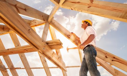 3 types de maisons en bois à construire