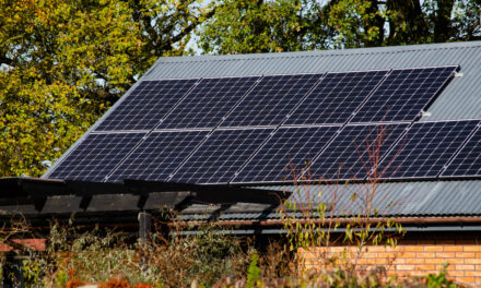 Focus sur la centrale solaire photovoltaïque