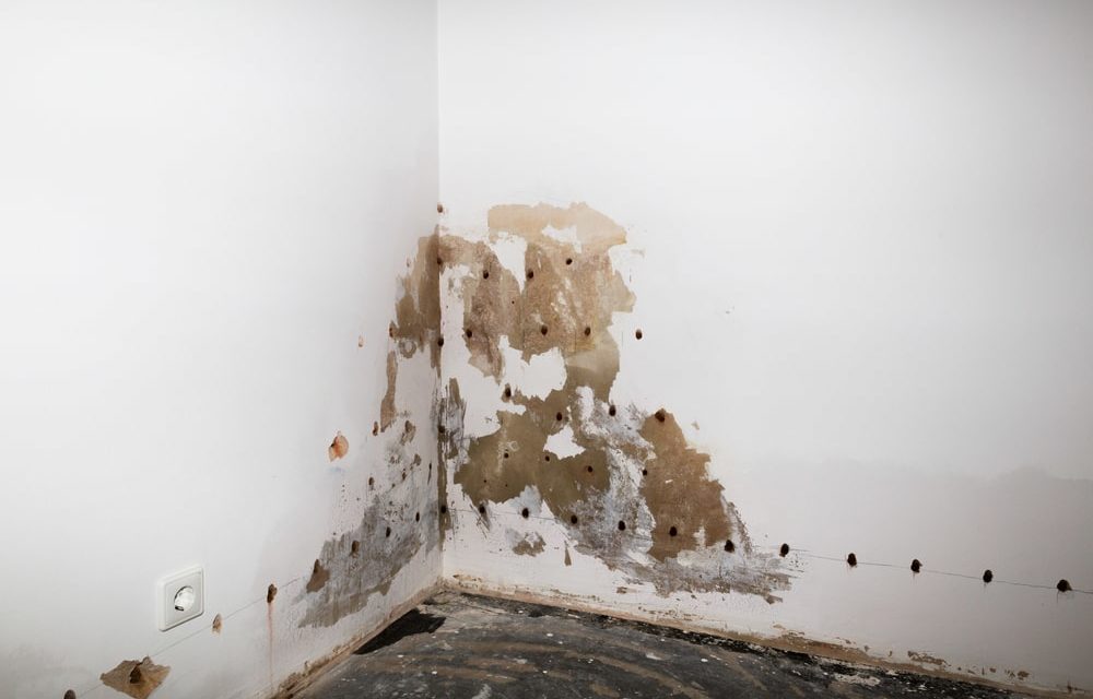 Comment traiter l’humidité d’un mur intérieur ?