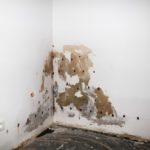 Comment traiter l’humidité d’un mur intérieur ?