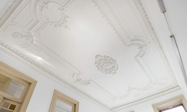 Faire appel à un plafonneur : tout savoir sur le choix et le déroulement des travaux