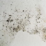 Repérer l’origine de l’humidité de vos murs intérieurs : guide pratique pour agir efficacement